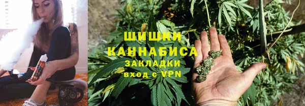 ПСИЛОЦИБИНОВЫЕ ГРИБЫ Белоозёрский