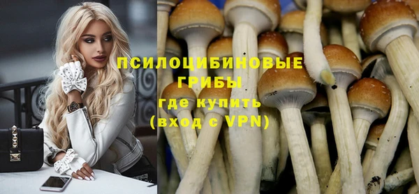 ПСИЛОЦИБИНОВЫЕ ГРИБЫ Белоозёрский