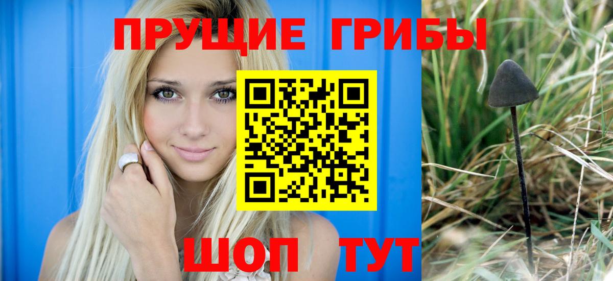Псилоцибиновые грибы прущие грибы  Вход с VPN  Псилоцибиновые грибы ЛСД  купить закладку  Воркута 